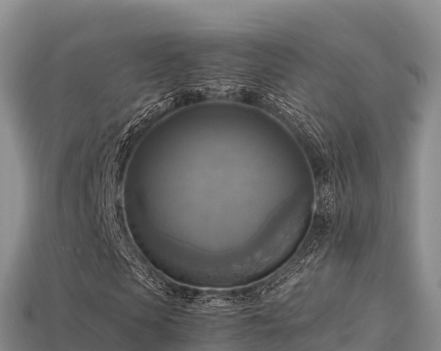 X0000113220913200909171552