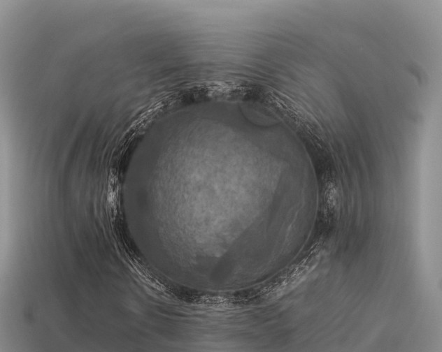 X0000113220914200909171552