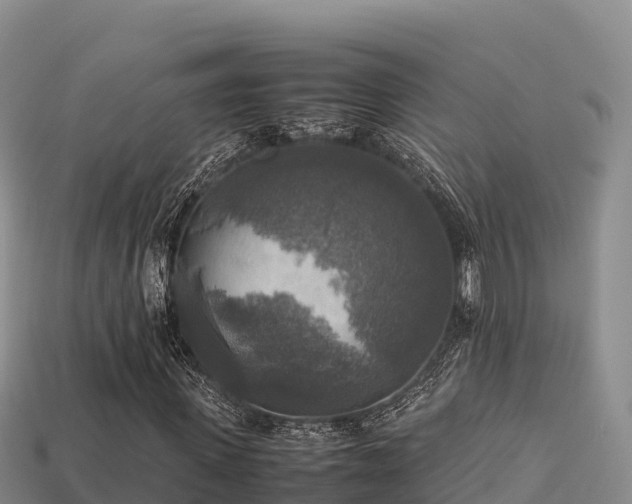 X0000113220915200909171552