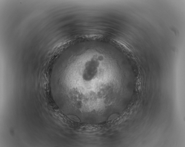 X0000113220917200909171552