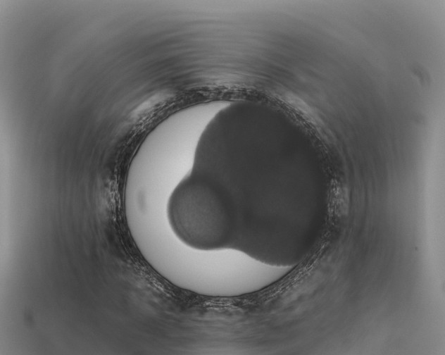 X0000113220918200909171552