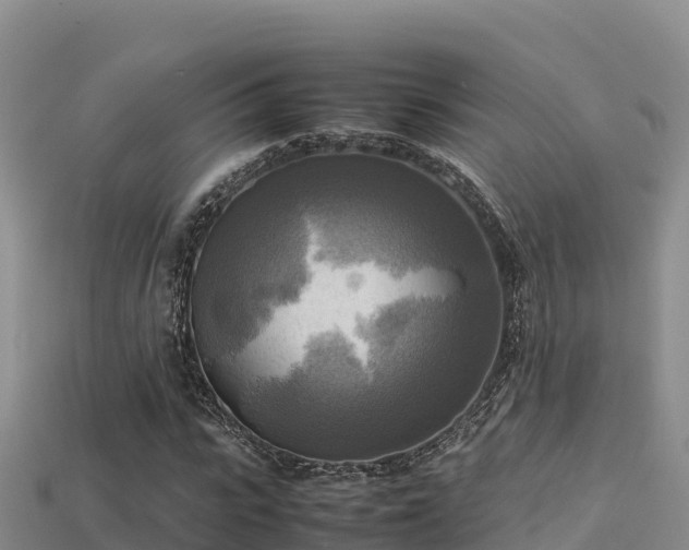 X0000113220919200909171552