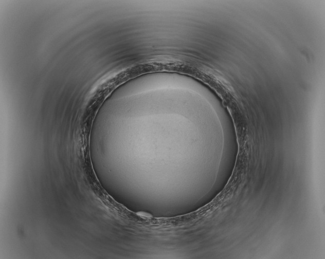 X0000113220920200909171552