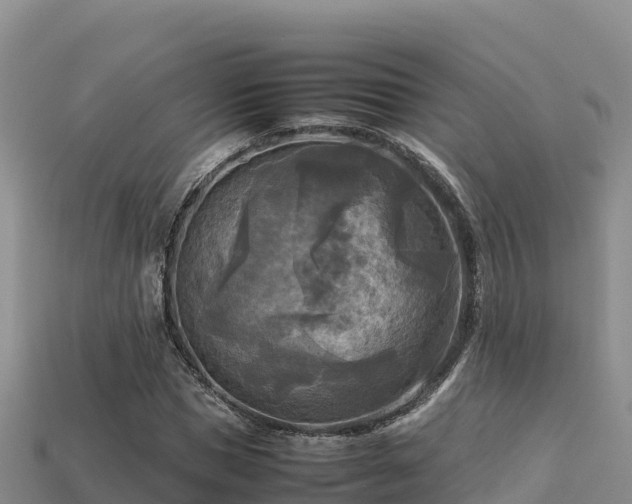 X0000113220921200909171552