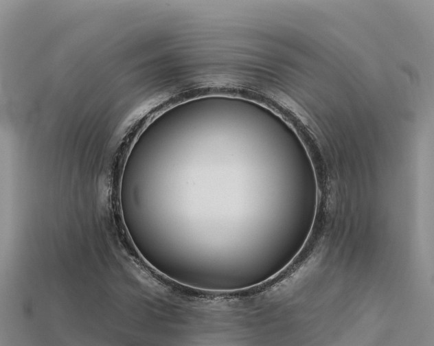 X0000113220922200909171552