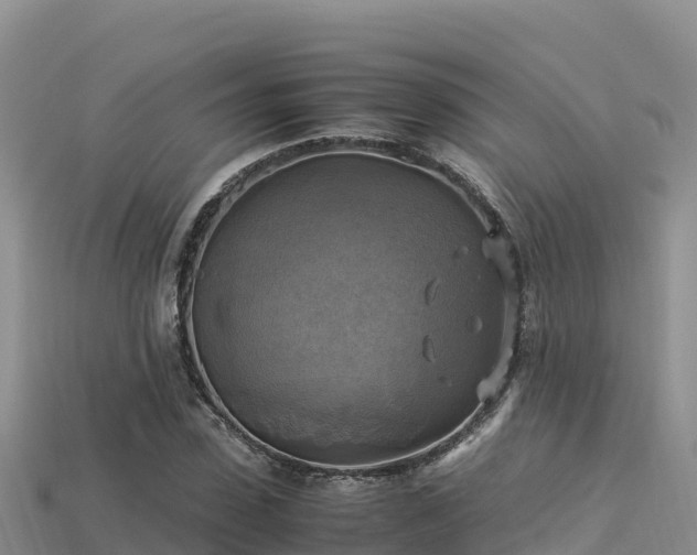 X0000113220923200909171552