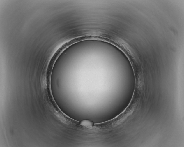 X0000113220924200909171552