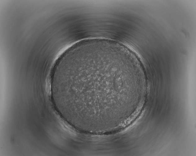 X0000113220925200909171552