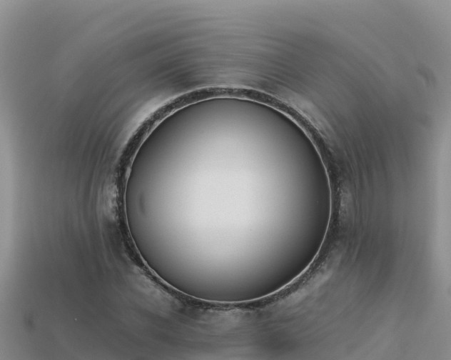 X0000113220926200909171552