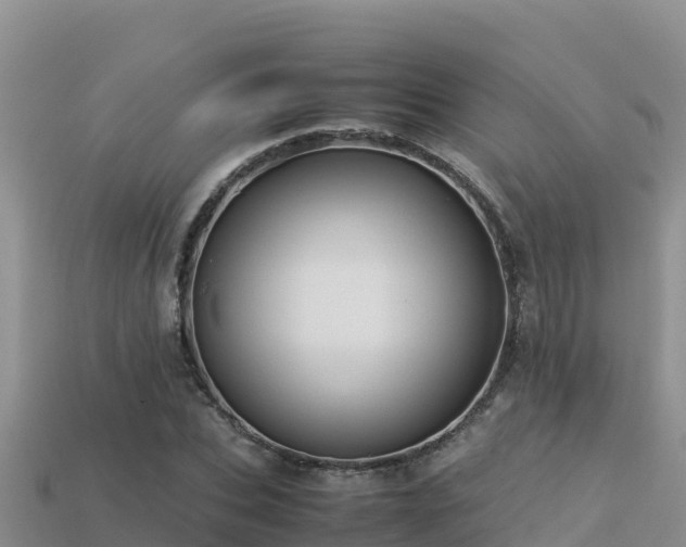 X0000113220927200909171552