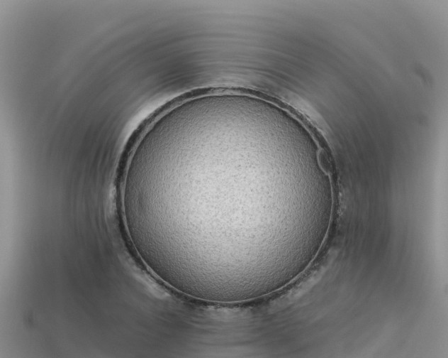 X0000113220928200909171552