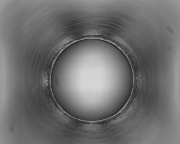 X0000113220929200909171552