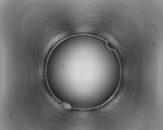 X0000113220930200909171552