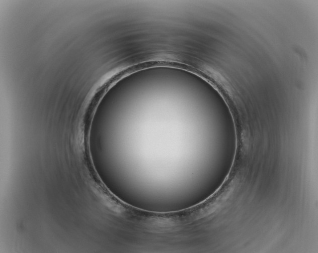 X0000113220931200909171552