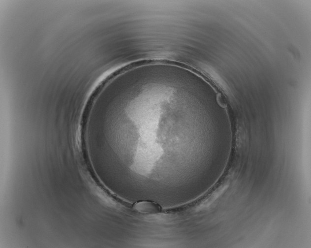 X0000113220932200909171552