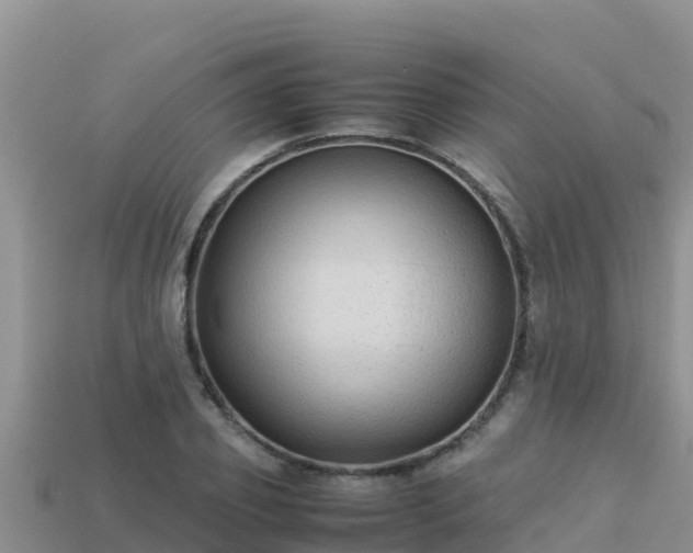 X0000113220933200909171552