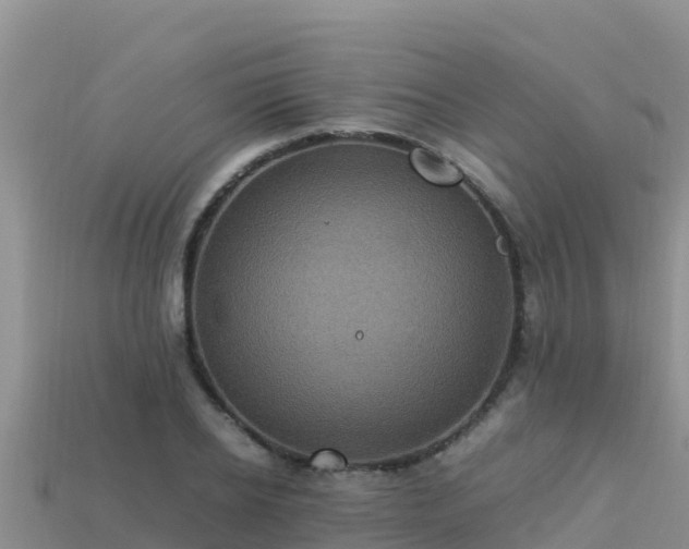 X0000113220934200909171552