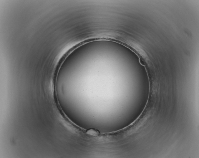 X0000113220936200909171552