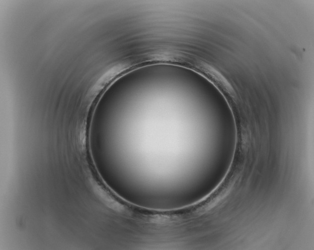 X0000113220938200909171552