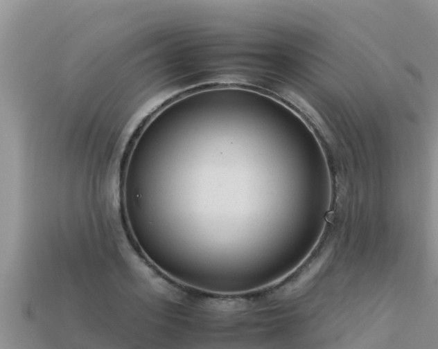 X0000113220939200909171552