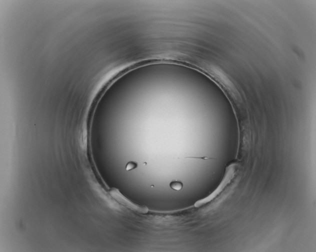 X0000113220940200909171552