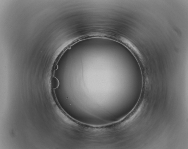 X0000113220941200909171552