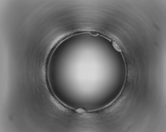 X0000113220942200909171552