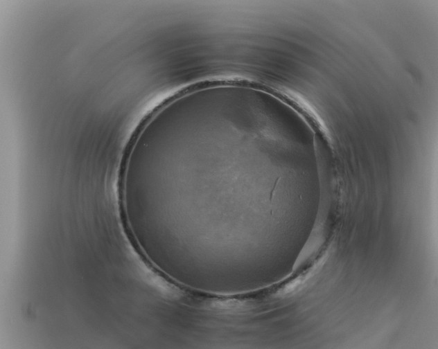 X0000113220943200909171552