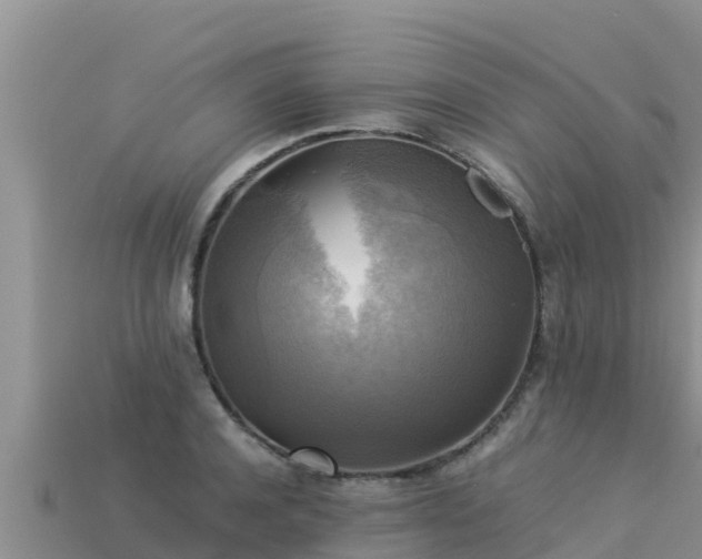 X0000113220944200909171552