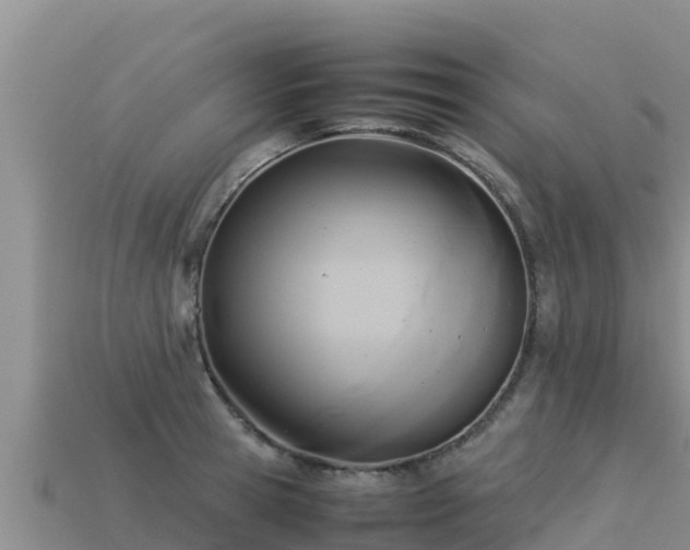 X0000113220945200909171552