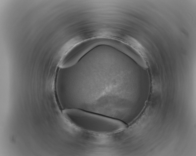 X0000113220946200909171552