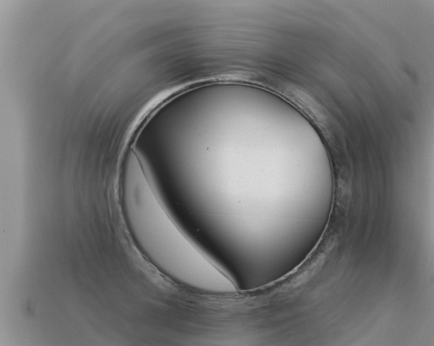 X0000113220948200909171552