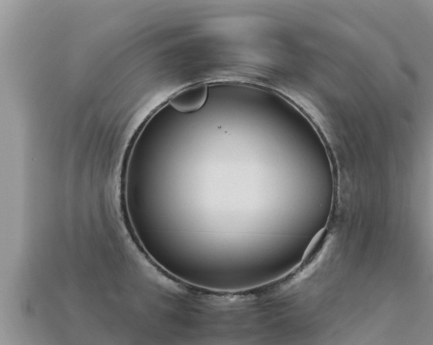 X0000113220949200909171552