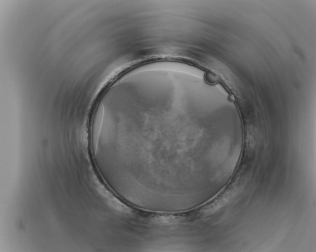 X0000113220950200909171552