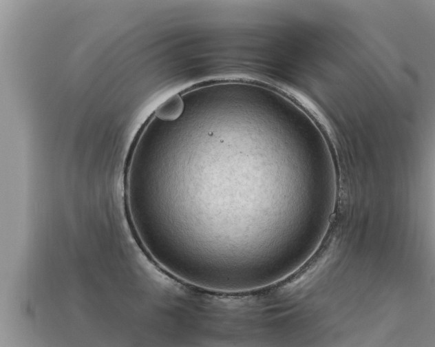 X0000113220951200909171552