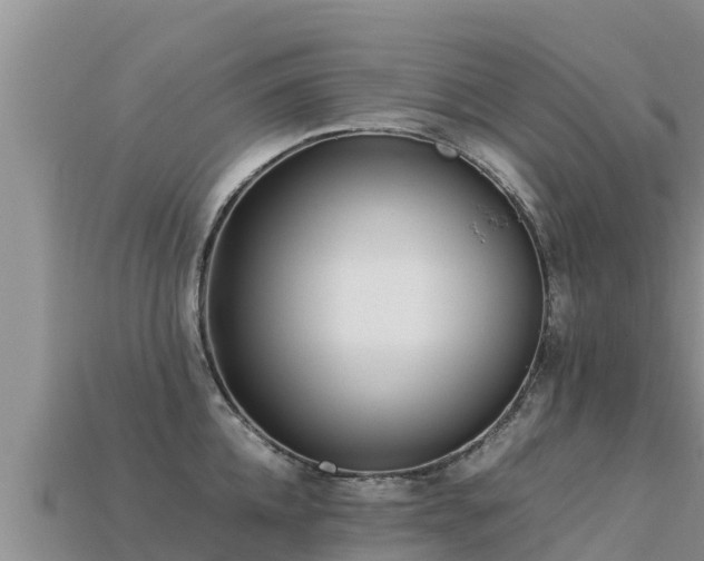 X0000113220952200909171552