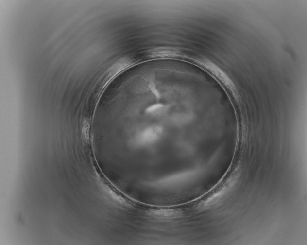 X0000113220953200909171552