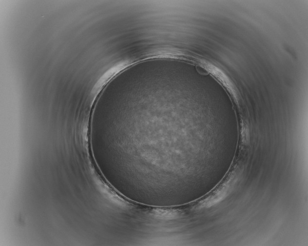 X0000113220954200909171552