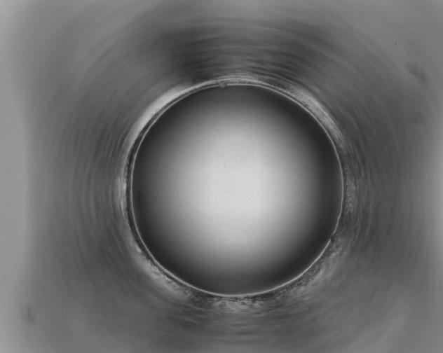 X0000113220955200909171552