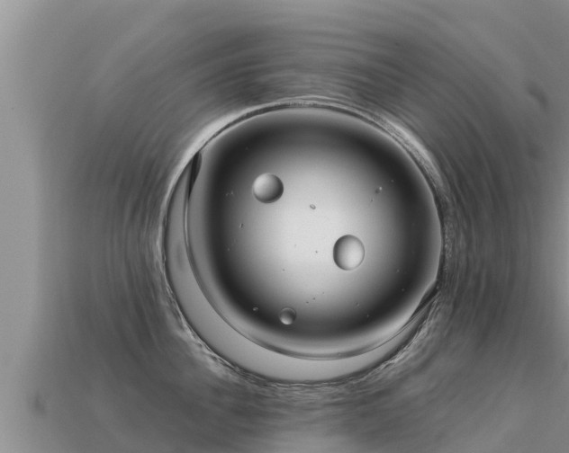 X0000113220956200909171552