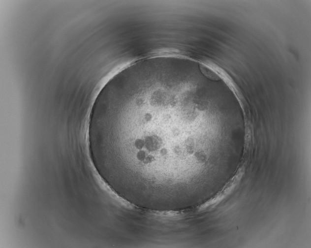 X0000113220957200909171552