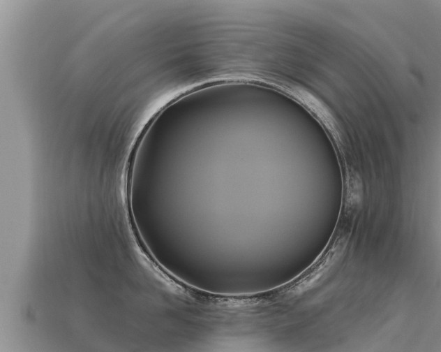 X0000113220958200909171552