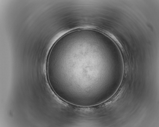 X0000113220959200909171552