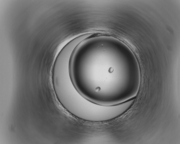 X0000113220960200909171552