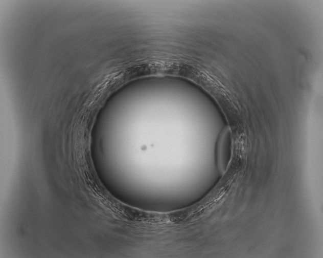 X0000113220961200909171552