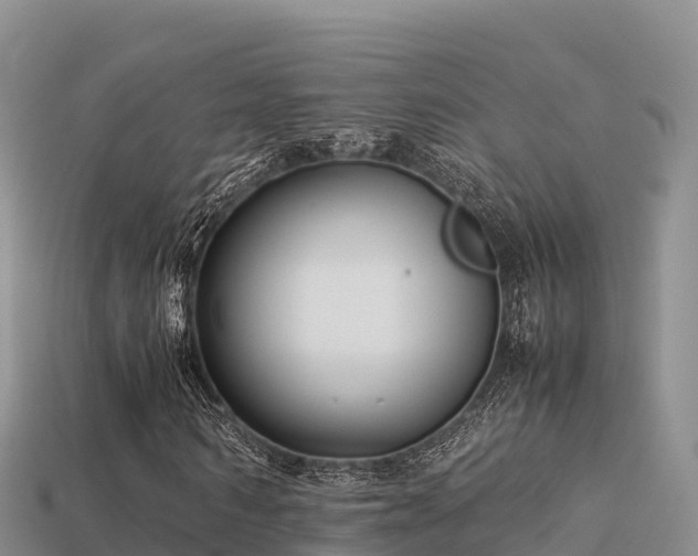 X0000113220962200909171552