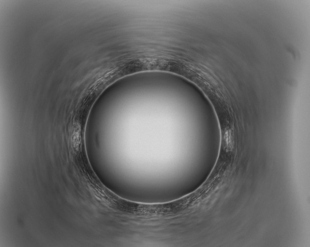 X0000113220963200909171552