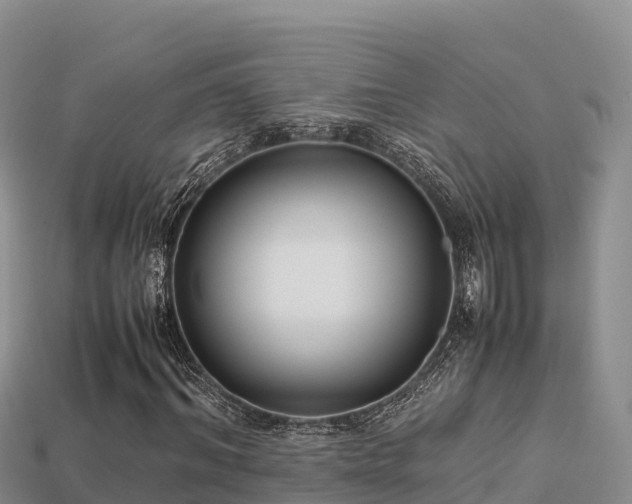 X0000113220964200909171552