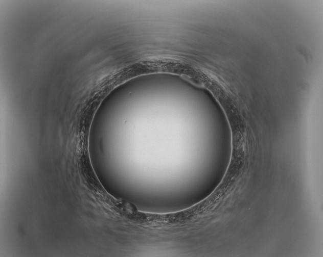 X0000113220965200909171552