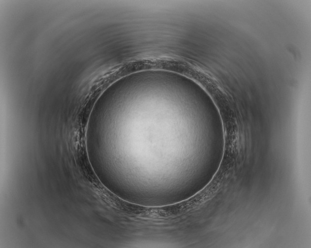 X0000113220966200909171552